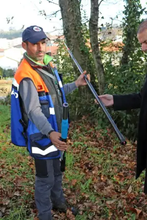 Mais de 600 ninhos de vespa asiática destruídos em Vila Verde